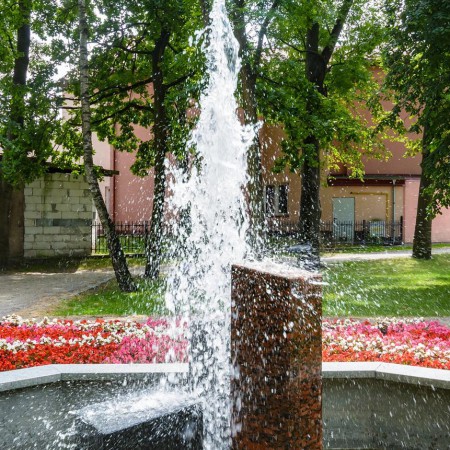 Wyświetl org. rozmiar