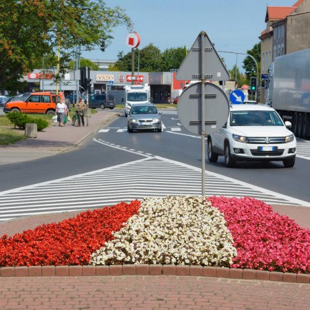Wyświetl org. rozmiar