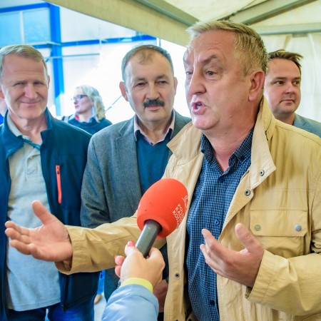 Wyświetl org. rozmiar