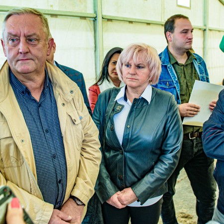 Wyświetl org. rozmiar