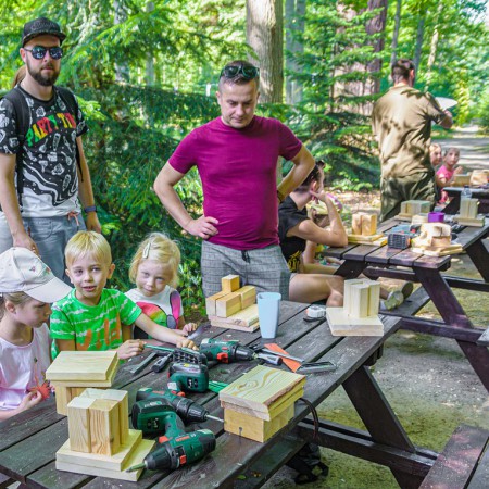 Wyświetl org. rozmiar