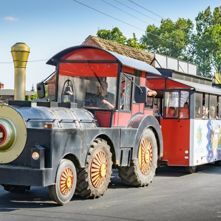 Wyświetl org. rozmiar