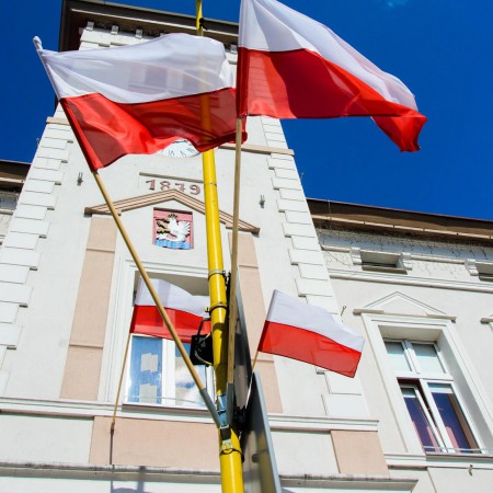Wyświetl org. rozmiar