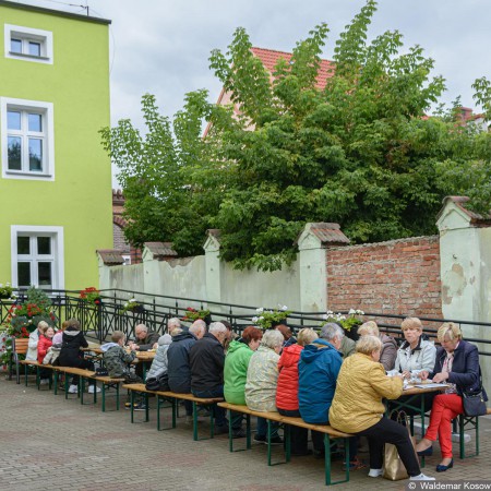 Wyświetl org. rozmiar