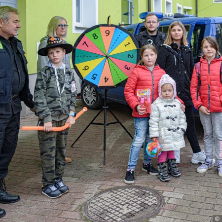 Wyświetl org. rozmiar