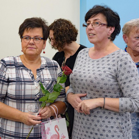 Wyświetl org. rozmiar