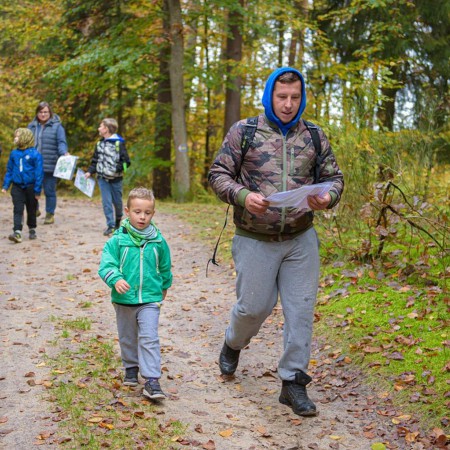 Wyświetl org. rozmiar