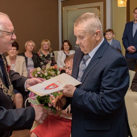Wyświetl org. rozmiar