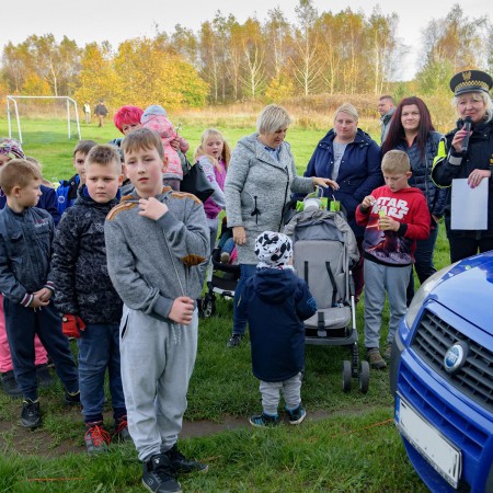 Wyświetl org. rozmiar