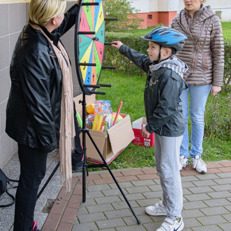 Wyświetl org. rozmiar
