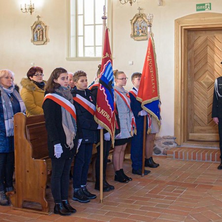 Wyświetl org. rozmiar