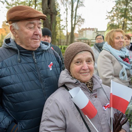 Wyświetl org. rozmiar