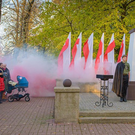 Wyświetl org. rozmiar