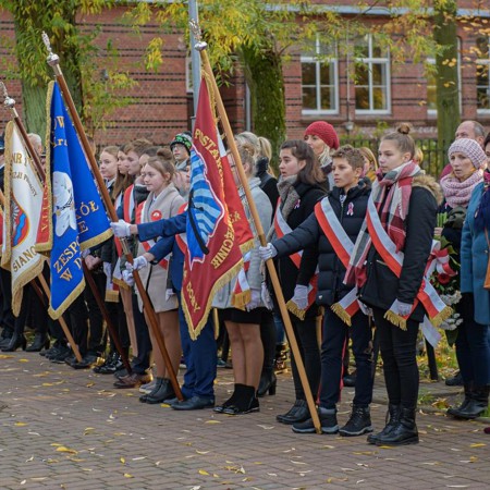 Wyświetl org. rozmiar