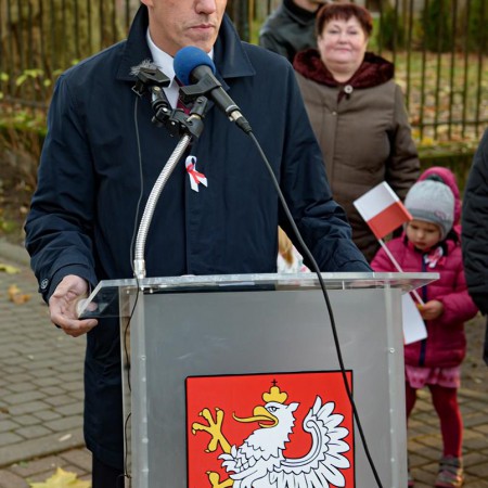 Wyświetl org. rozmiar