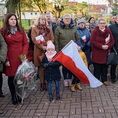 Wyświetl org. rozmiar
