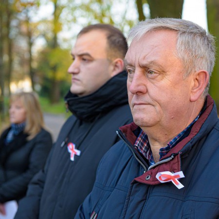 Wyświetl org. rozmiar