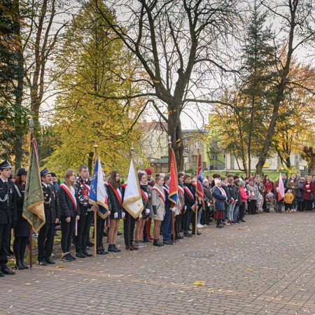 Wyświetl org. rozmiar