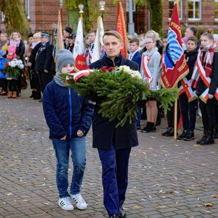 Wyświetl org. rozmiar