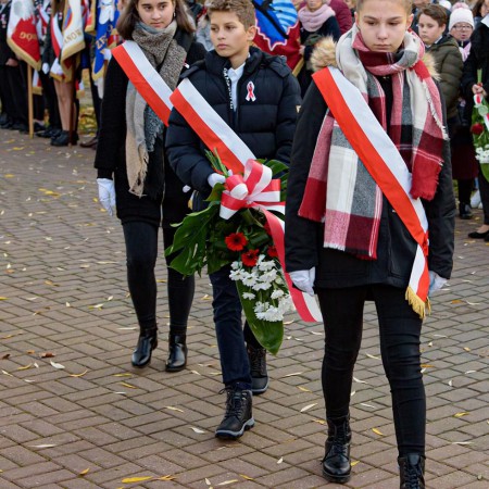 Wyświetl org. rozmiar