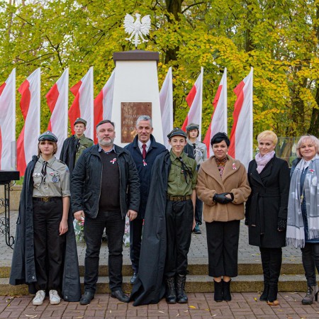 Wyświetl org. rozmiar
