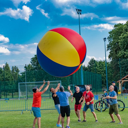 Wyświetl org. rozmiar