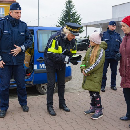 Wyświetl org. rozmiar