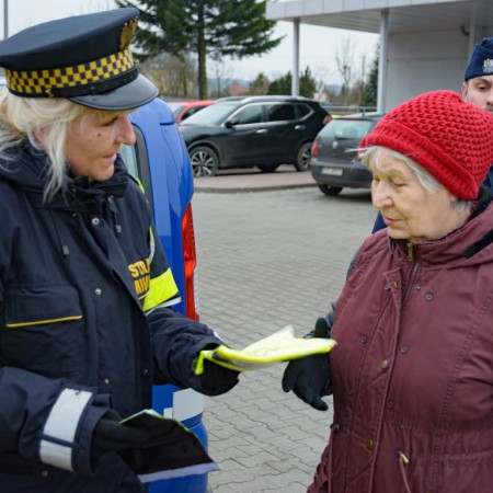 Wyświetl org. rozmiar