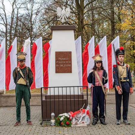 Wyświetl org. rozmiar