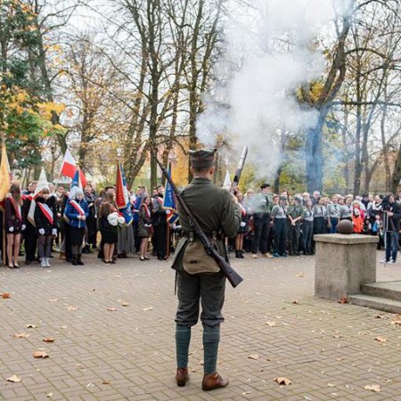 Wyświetl org. rozmiar