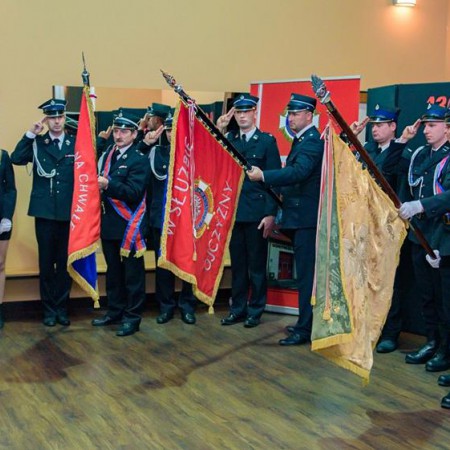 Wyświetl org. rozmiar