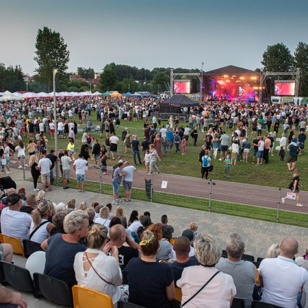 Wyświetl org. rozmiar