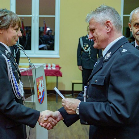 Wyświetl org. rozmiar