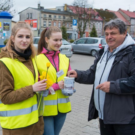 Wyświetl org. rozmiar