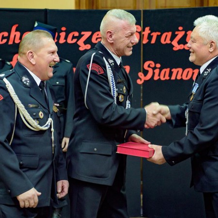 Wyświetl org. rozmiar