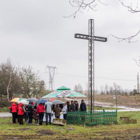 Wyświetl org. rozmiar