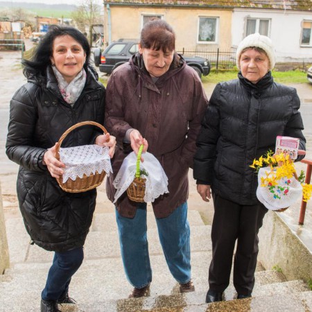 Wyświetl org. rozmiar