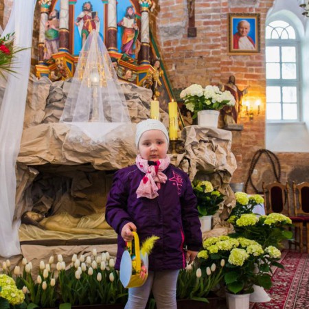 Wyświetl org. rozmiar