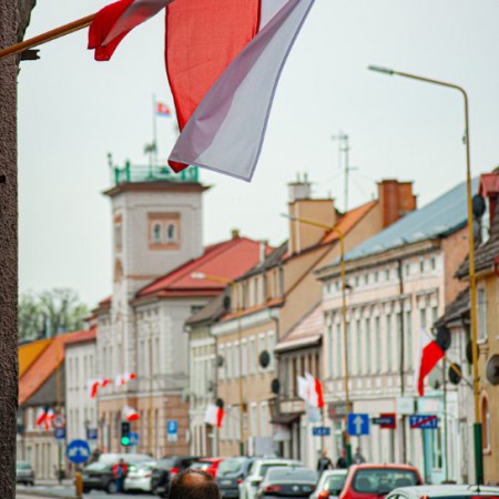 Wyświetl org. rozmiar