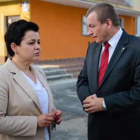 Wyświetl org. rozmiar