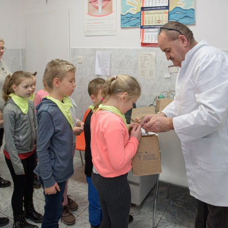 Wyświetl org. rozmiar