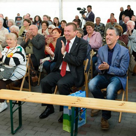 Wyświetl org. rozmiar