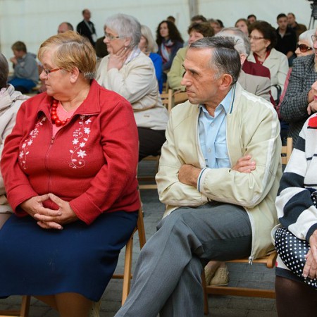 Wyświetl org. rozmiar
