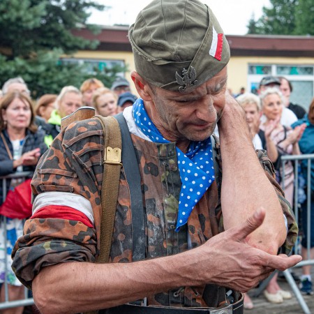 Wyświetl org. rozmiar