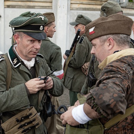 Wyświetl org. rozmiar
