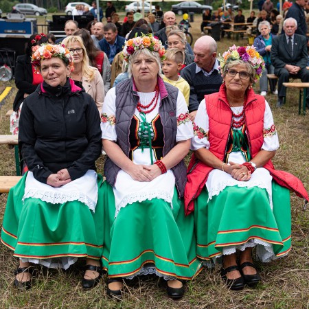 Wyświetl org. rozmiar