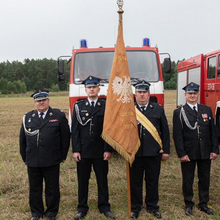 Wyświetl org. rozmiar