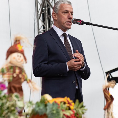 Wyświetl org. rozmiar