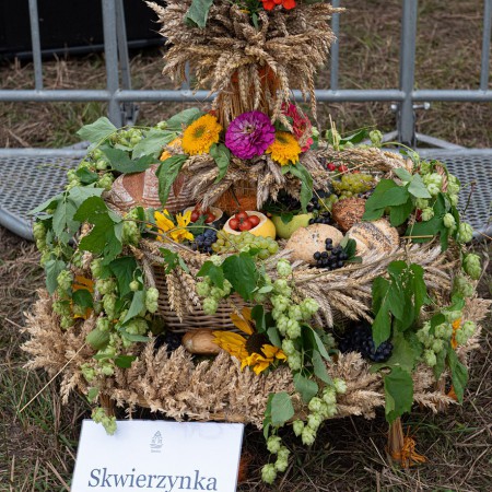 Wyświetl org. rozmiar