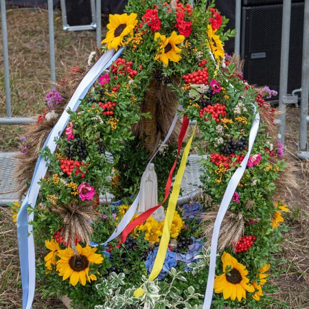 Wyświetl org. rozmiar